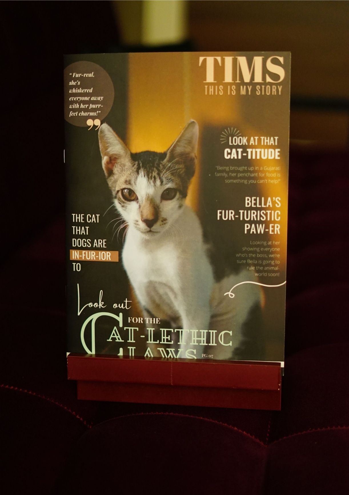 Untitled design (36)